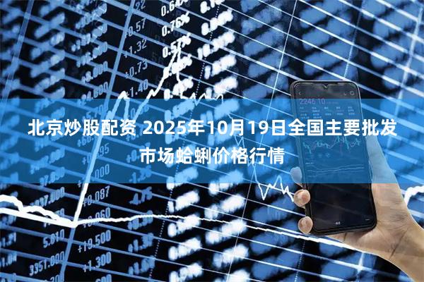 北京炒股配资 2025年10月19日全国主要批发市场蛤蜊价格行情