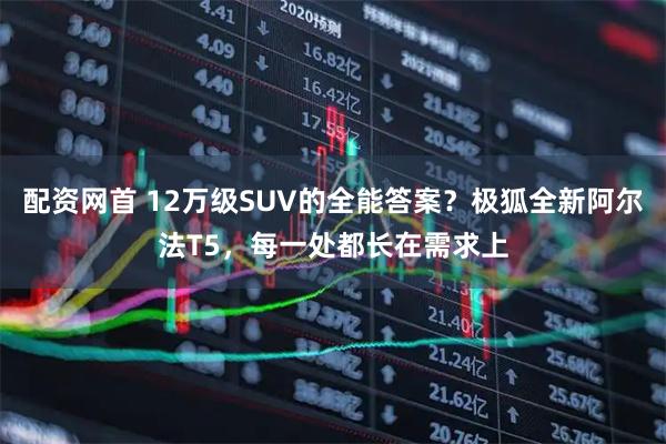 配资网首 12万级SUV的全能答案？极狐全新阿尔法T5，每一处都长在需求上