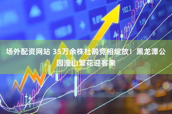 场外配资网站 35万余株杜鹃竞相绽放！黑龙潭公园漫山繁花迎客来